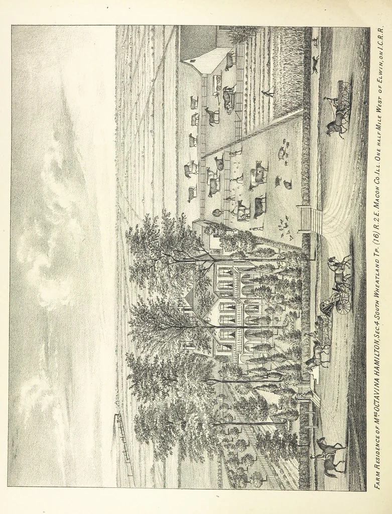 An illustration from History of Macon County, Illinois. With illustrations ... and biographical sketches, etc, 1880, leaf 230