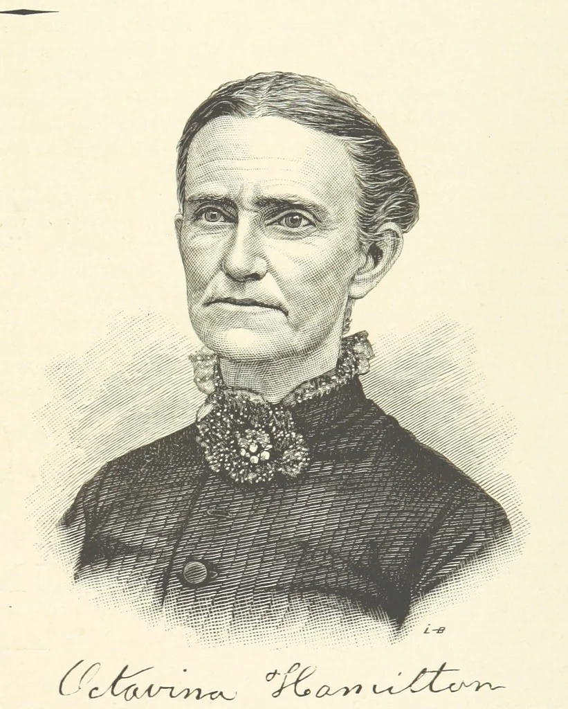 An illustration from History of Macon County, Illinois. With illustrations ... and biographical sketches, etc, 1880, leaf 231