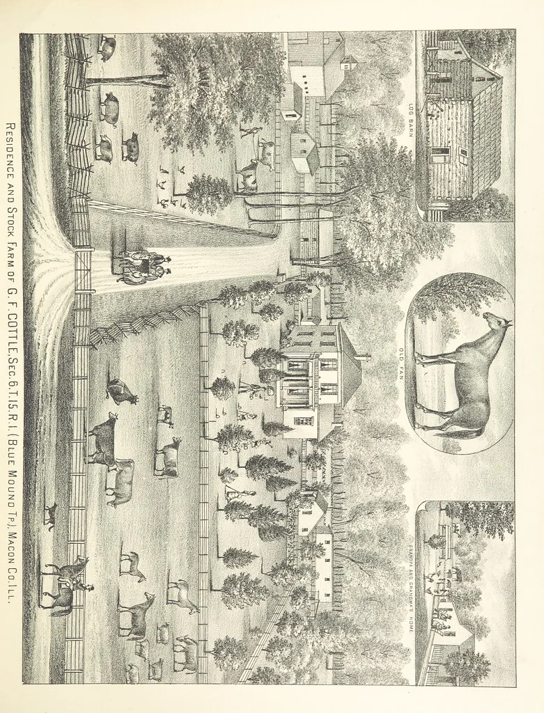 An illustration from History of Macon County, Illinois. With illustrations ... and biographical sketches, etc, 1880, leaf 237