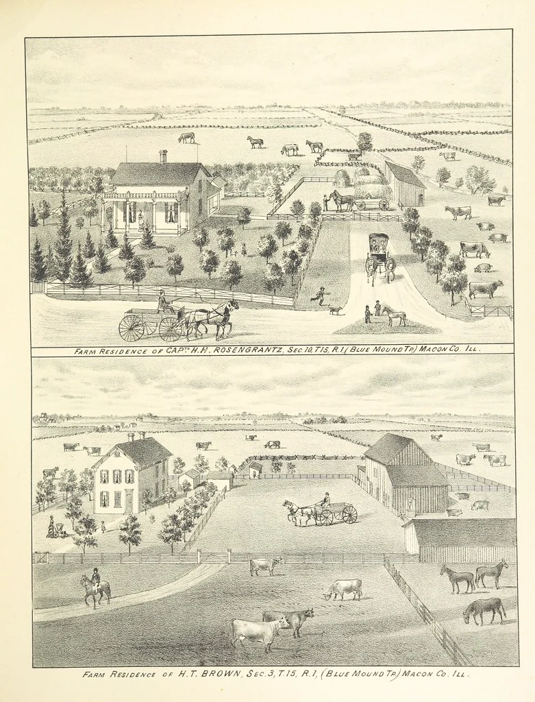 An illustration from History of Macon County, Illinois. With illustrations ... and biographical sketches, etc, 1880, leaf 241