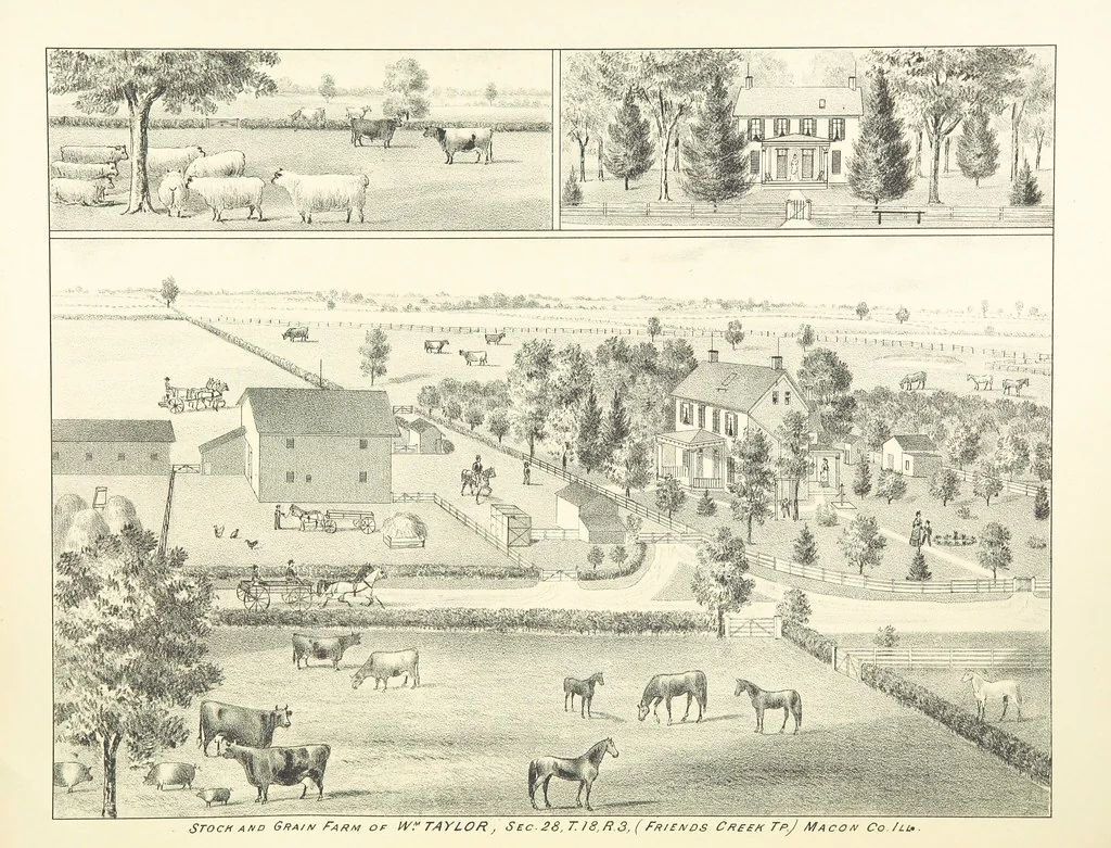 An illustration from History of Macon County, Illinois. With illustrations ... and biographical sketches, etc, 1880, leaf 249