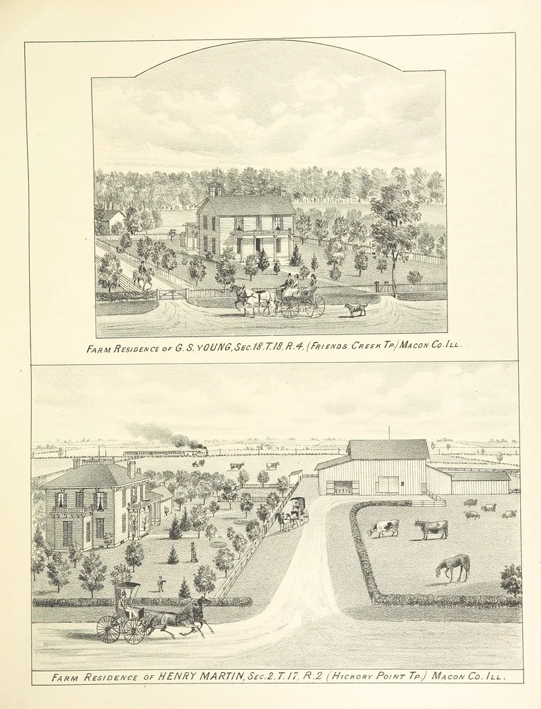 An illustration from History of Macon County, Illinois. With illustrations ... and biographical sketches, etc, 1880, leaf 253