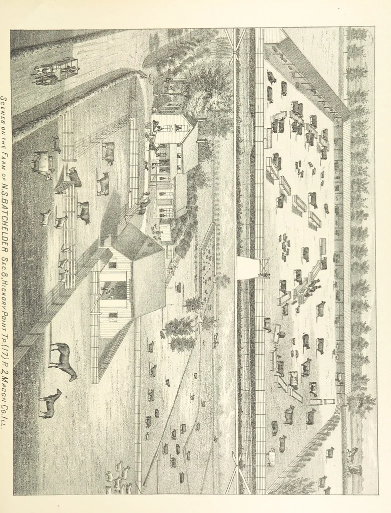 An illustration from History of Macon County, Illinois. With illustrations ... and biographical sketches, etc, 1880, leaf 257