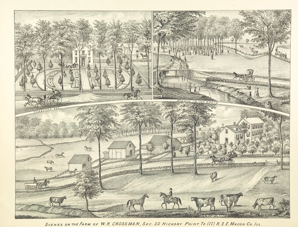An illustration from History of Macon County, Illinois. With illustrations ... and biographical sketches, etc, 1880, leaf 261