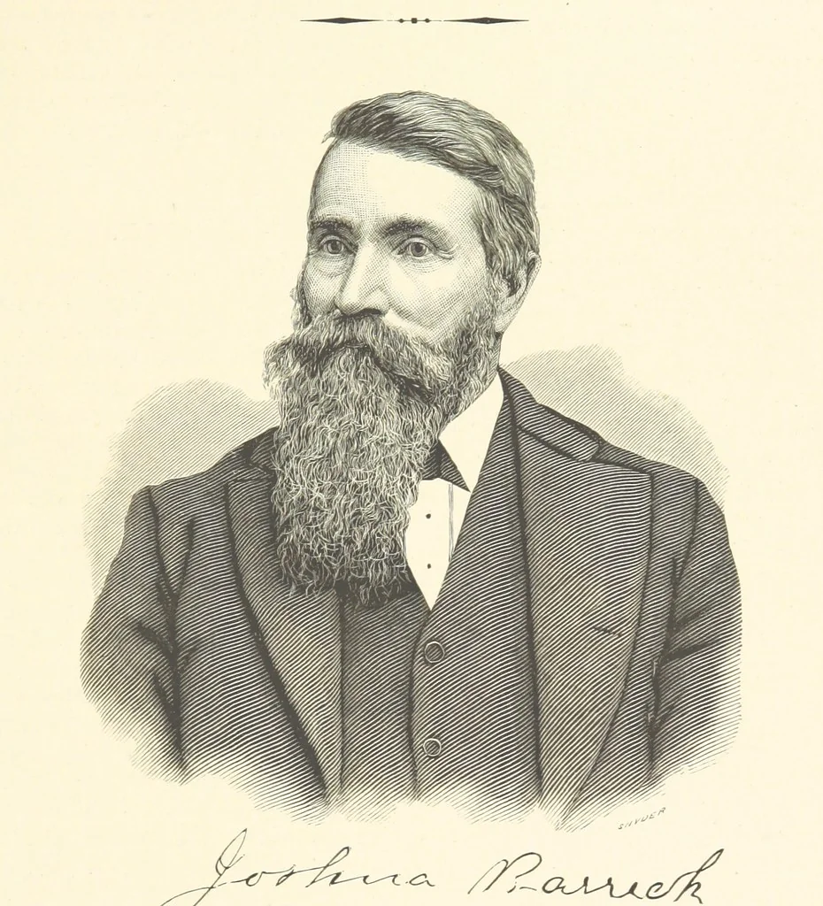 An illustration from History of Macon County, Illinois. With illustrations ... and biographical sketches, etc, 1880, leaf 265