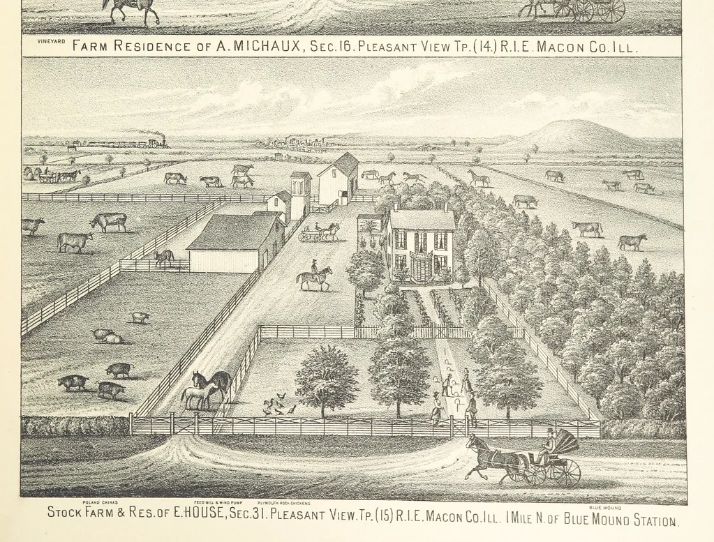 An illustration from History of Macon County, Illinois. With illustrations ... and biographical sketches, etc, 1880, leaf 267