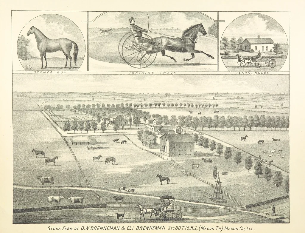 An illustration from History of Macon County, Illinois. With illustrations ... and biographical sketches, etc, 1880, leaf 271
