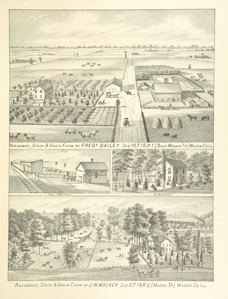 An illustration from History of Macon County, Illinois. With illustrations ... and biographical sketches, etc, 1880, leaf 275