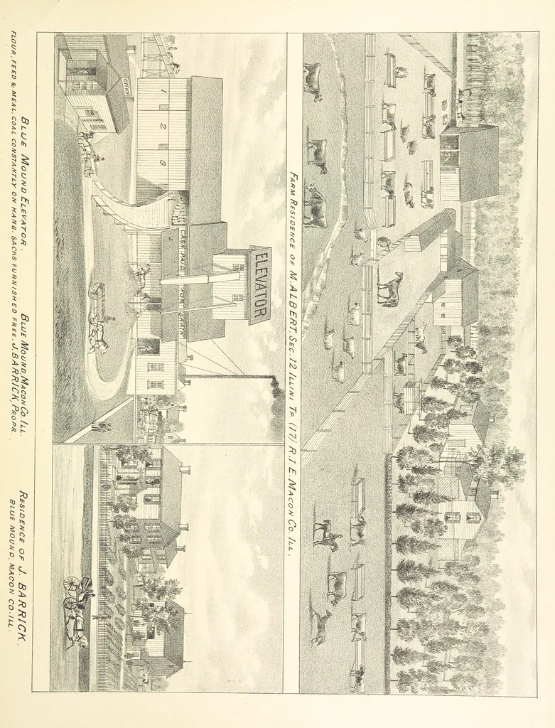 An illustration from History of Macon County, Illinois. With illustrations ... and biographical sketches, etc, 1880, leaf 279