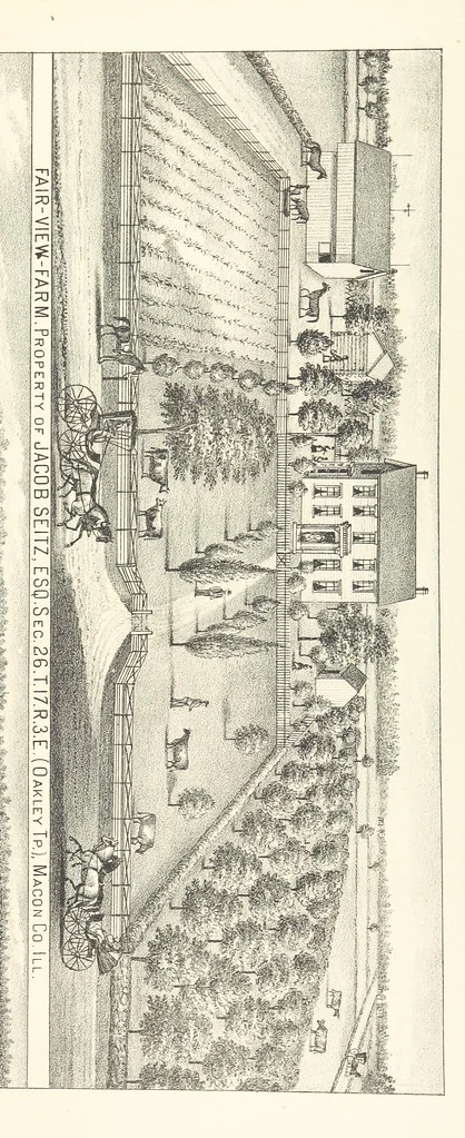 An illustration from History of Macon County, Illinois. With illustrations ... and biographical sketches, etc, 1880, leaf 285