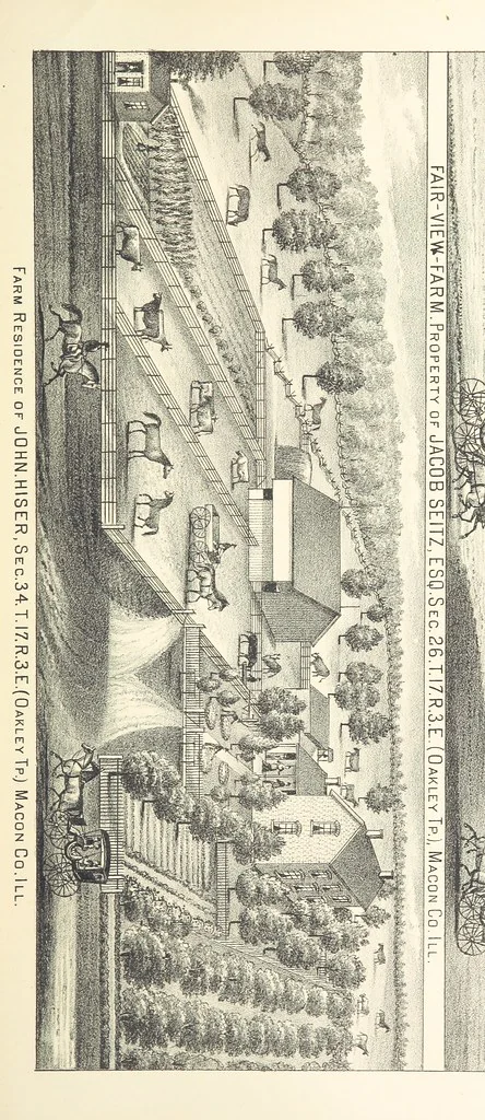 An illustration from History of Macon County, Illinois. With illustrations ... and biographical sketches, etc, 1880, leaf 285