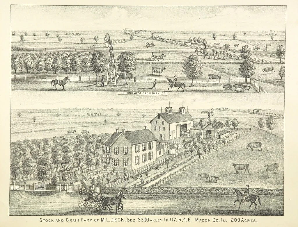 An illustration from History of Macon County, Illinois. With illustrations ... and biographical sketches, etc, 1880, leaf 289
