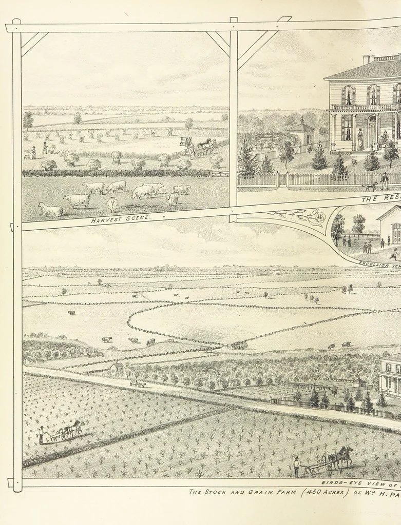 An illustration from History of Macon County, Illinois. With illustrations ... and biographical sketches, etc, 1880, leaf 296