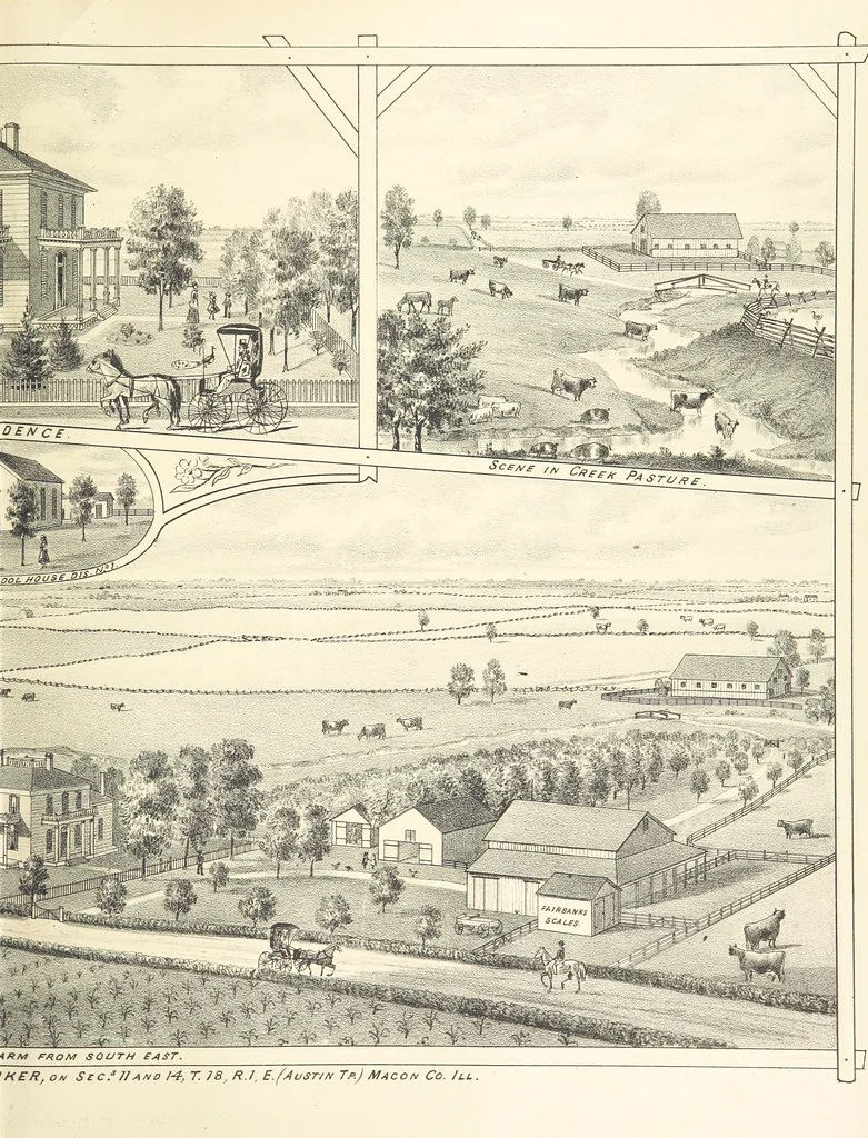 An illustration from History of Macon County, Illinois. With illustrations ... and biographical sketches, etc, 1880, leaf 297