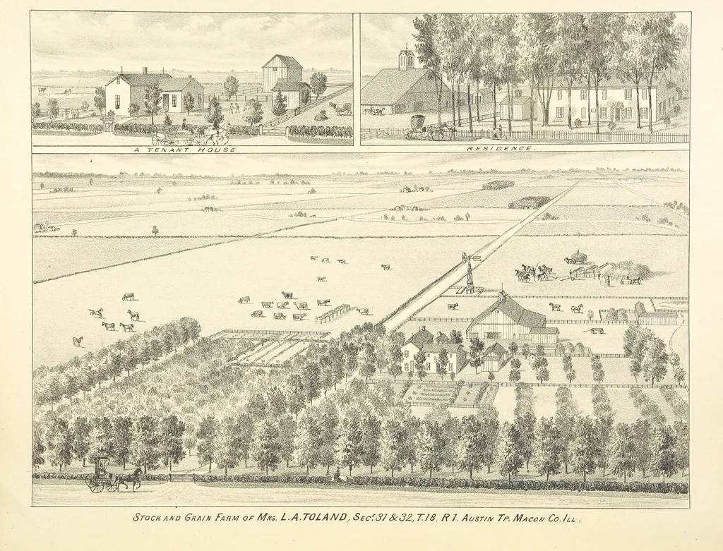 An illustration from History of Macon County, Illinois. With illustrations ... and biographical sketches, etc, 1880, leaf 301