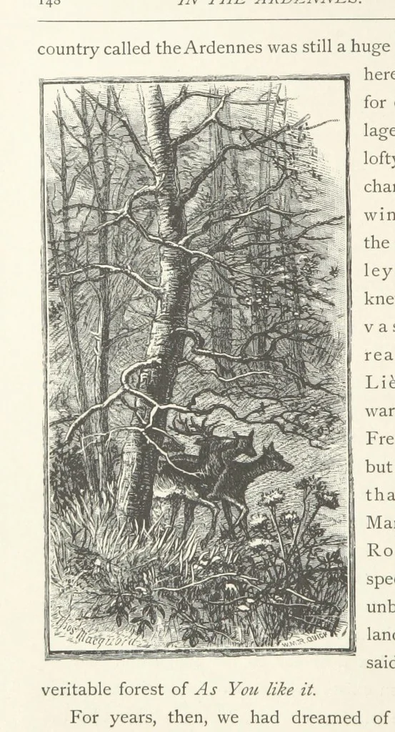 An illustration from In the Ardennes ... With ... illustrations by T. R. Macquoid, 1881, leaf 184