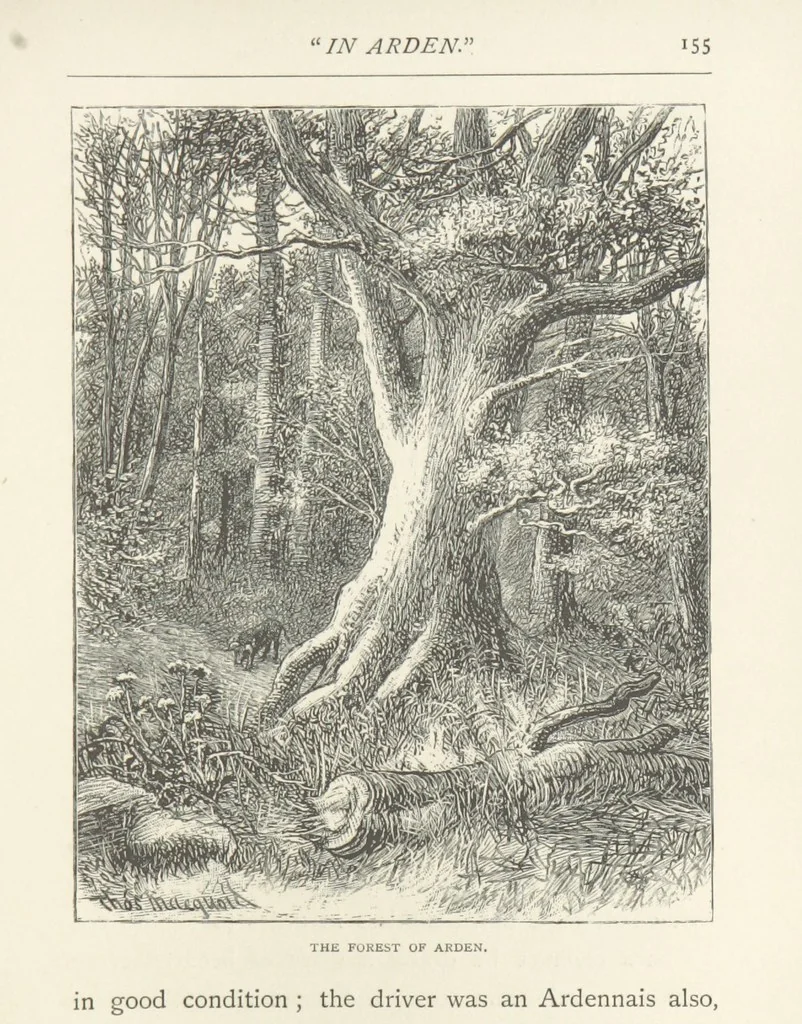 An illustration from In the Ardennes ... With ... illustrations by T. R. Macquoid, 1881, leaf 191