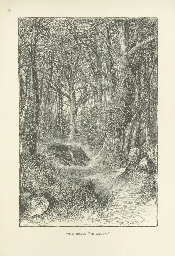 An illustration from In the Ardennes ... With ... illustrations by T. R. Macquoid, 1881, leaf 195
