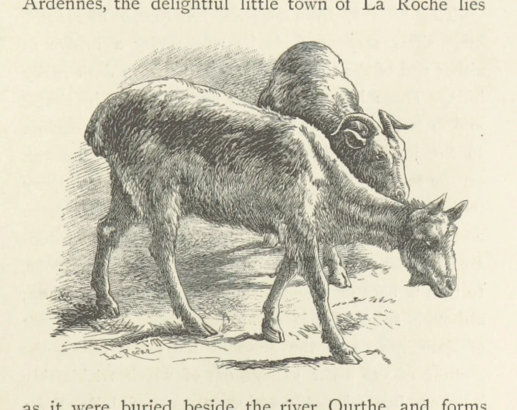 An illustration from In the Ardennes ... With ... illustrations by T. R. Macquoid, 1881, leaf 205