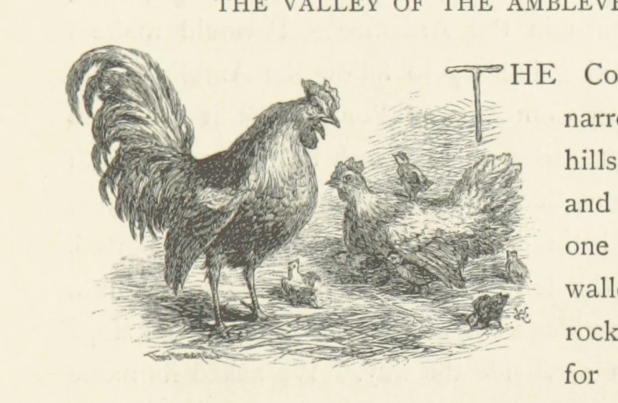 An illustration from In the Ardennes ... With ... illustrations by T. R. Macquoid, 1881, leaf 263