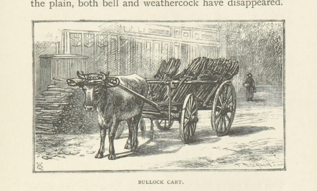 An illustration from In the Ardennes ... With ... illustrations by T. R. Macquoid, 1881, leaf 343