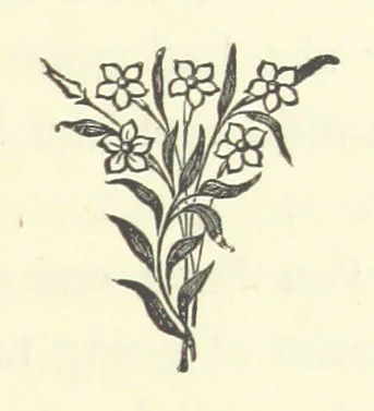 An illustration from Out of their Element. A novel, 1884, leaf 125