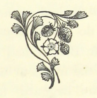 An illustration from Out of their Element. A novel, 1884, leaf 165