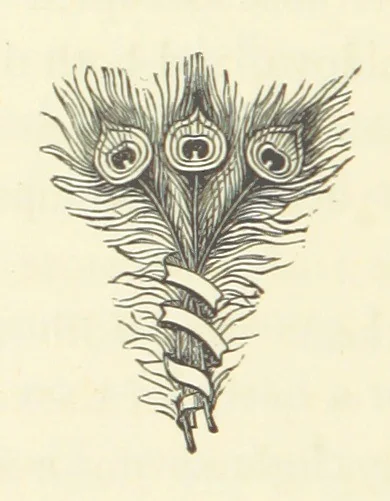 An illustration from Out of their Element. A novel, 1884, leaf 244