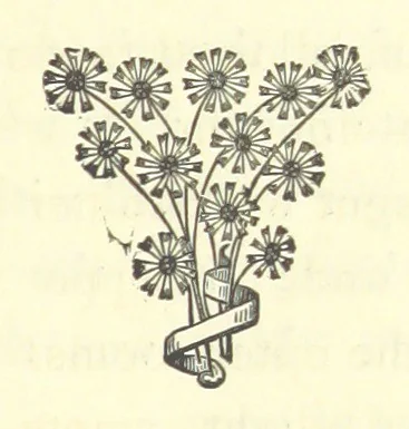 An illustration from Out of their Element. A novel, 1884, leaf 267