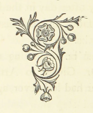 An illustration from Out of their Element. A novel, 1884, leaf 296
