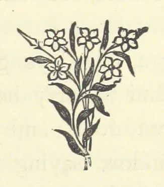 An illustration from Out of their Element. A novel, 1884, leaf 309