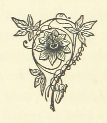 An illustration from Out of their Element. A novel, 1884, leaf 86