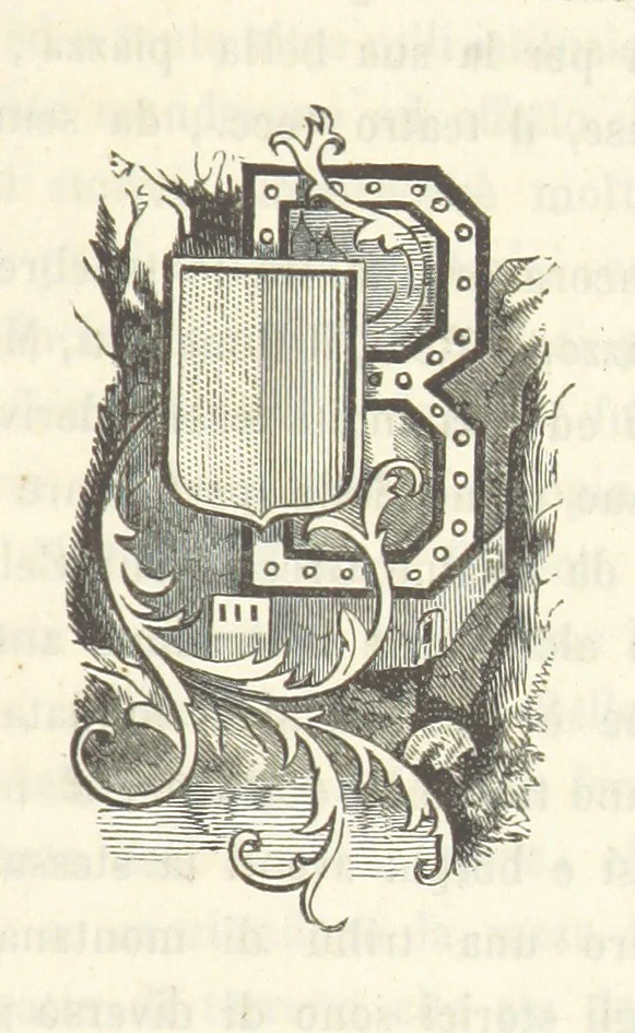 An illustration from Le cento città d'Italia. Descrizione storica, politica, etc, 1871, leaf 113