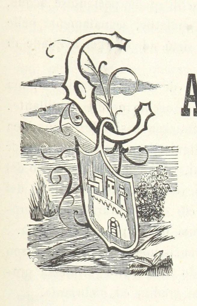 An illustration from Le cento città d'Italia. Descrizione storica, politica, etc, 1871, leaf 201