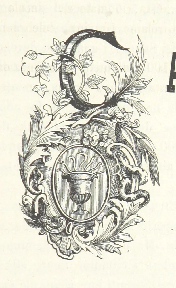 An illustration from Le cento città d'Italia. Descrizione storica, politica, etc, 1871, leaf 205