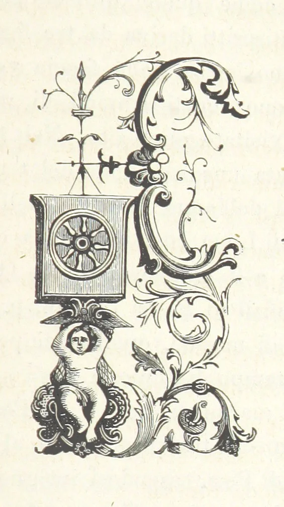 An illustration from Le cento città d'Italia. Descrizione storica, politica, etc, 1871, leaf 219