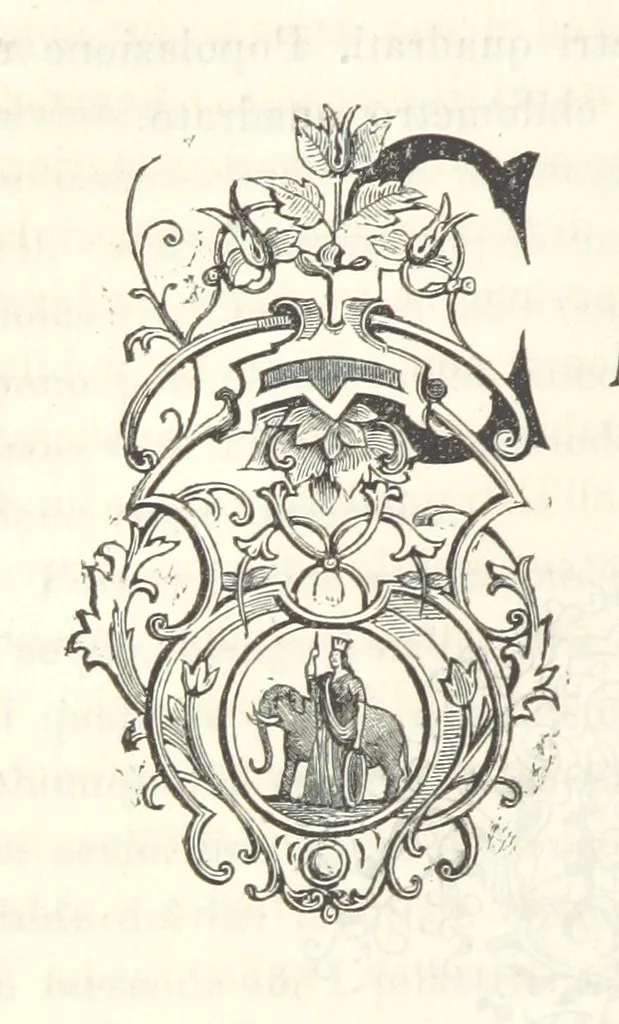 An illustration from Le cento città d'Italia. Descrizione storica, politica, etc, 1871, leaf 238