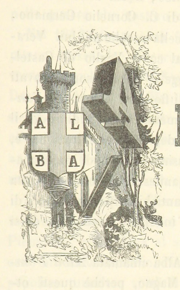 An illustration from Le cento città d'Italia. Descrizione storica, politica, etc, 1871, leaf 25