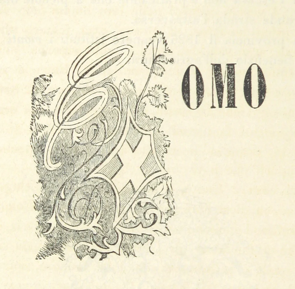 An illustration from Le cento città d'Italia. Descrizione storica, politica, etc, 1871, leaf 266