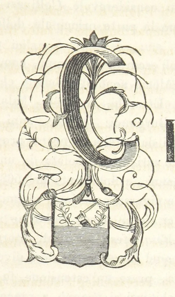 An illustration from Le cento città d'Italia. Descrizione storica, politica, etc, 1871, leaf 303