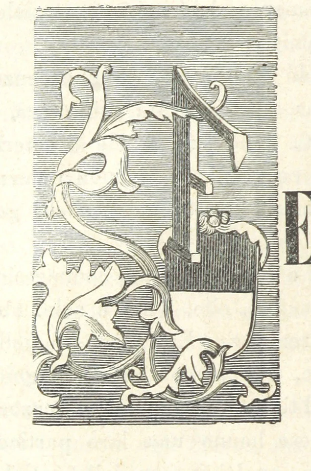 An illustration from Le cento città d'Italia. Descrizione storica, politica, etc, 1871, leaf 342