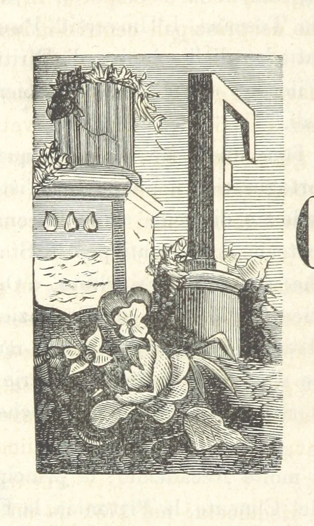 An illustration from Le cento città d'Italia. Descrizione storica, politica, etc, 1871, leaf 378