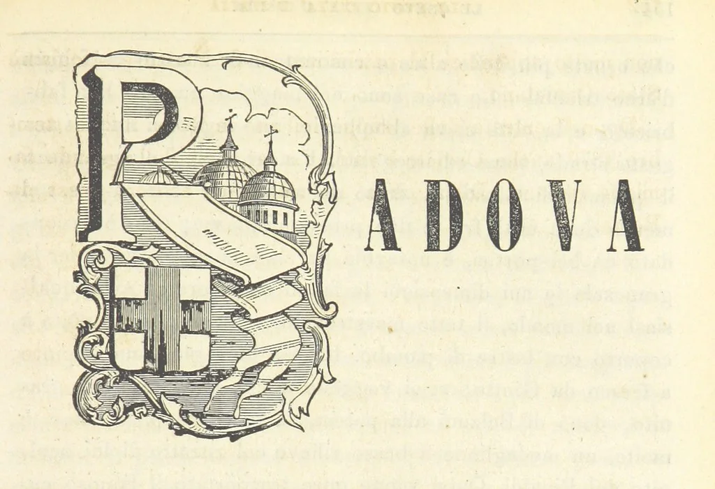 An illustration from Le cento città d'Italia. Descrizione storica, politica, etc, 1871, leaf 799