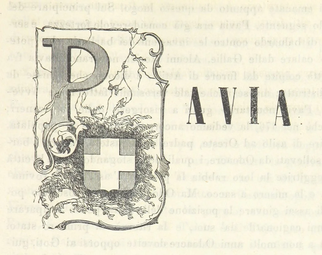 An illustration from Le cento città d'Italia. Descrizione storica, politica, etc, 1871, leaf 861