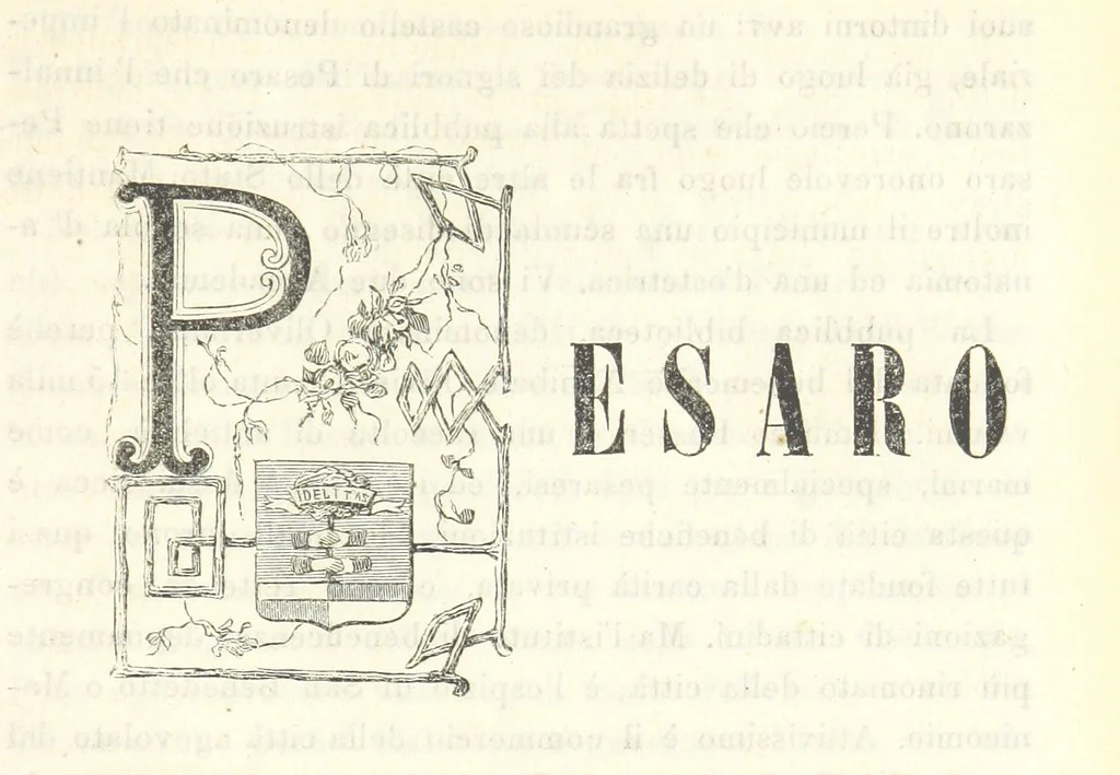 An illustration from Le cento città d'Italia. Descrizione storica, politica, etc, 1871, leaf 891