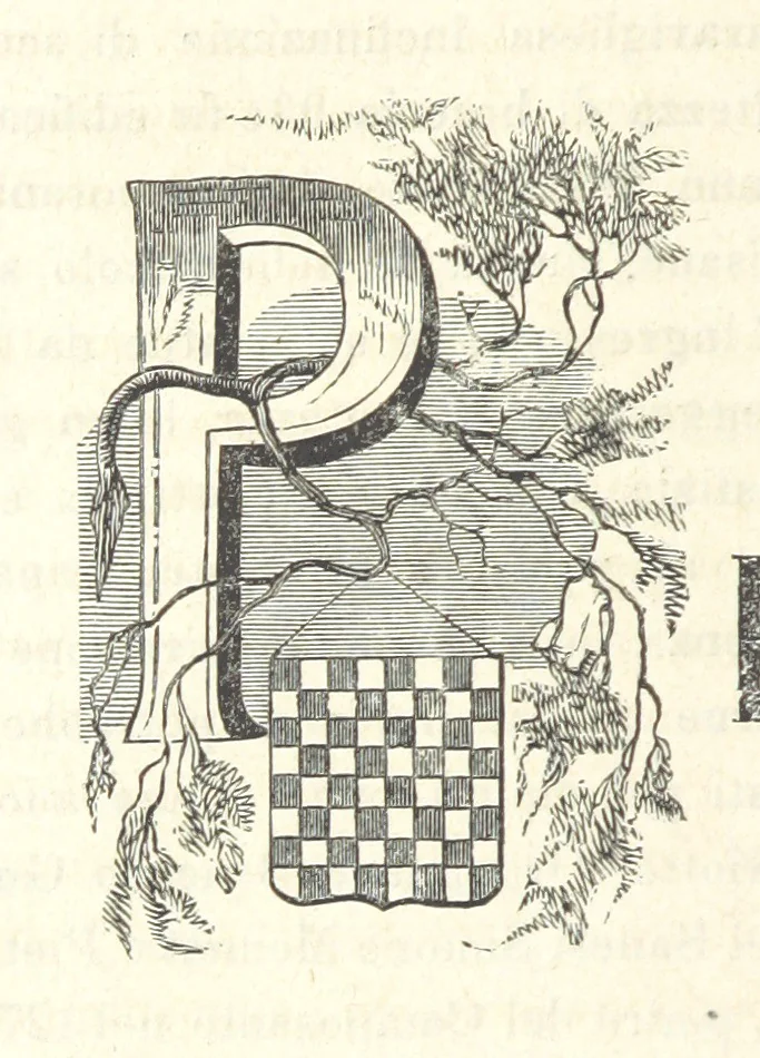 An illustration from Le cento città d'Italia. Descrizione storica, politica, etc, 1871, leaf 922