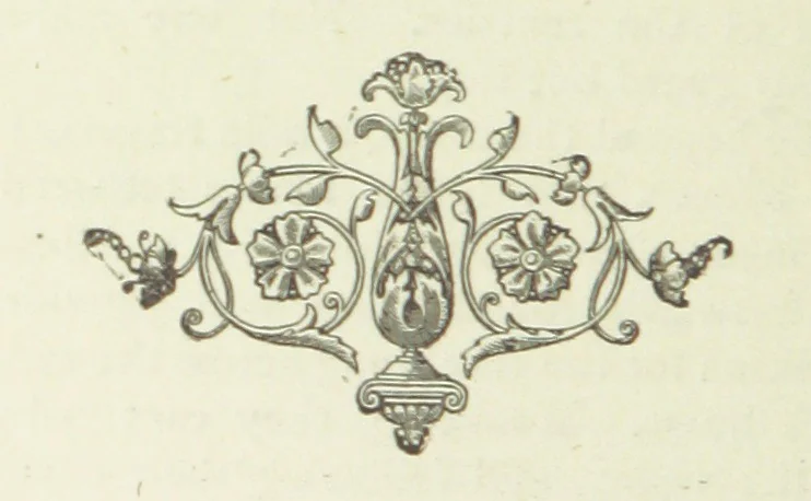 An illustration from The Queen of Ecuador. A novel, 1894, leaf 116