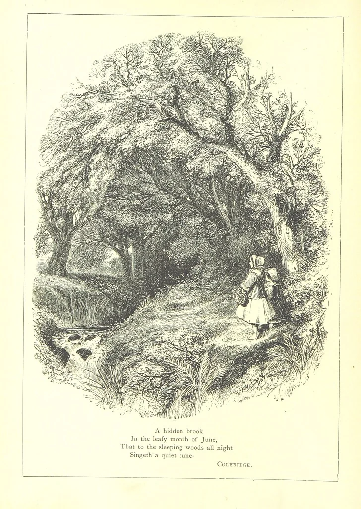 An illustration from The Months illustrated by pen and pencil. Edited by ... S. M. The designs by N. Humphreys, J. Gilbert, etc, 1876, leaf 110
