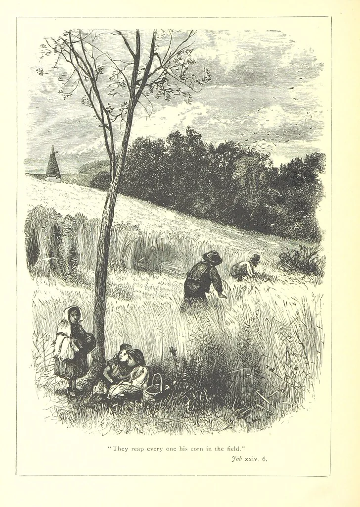 An illustration from The Months illustrated by pen and pencil. Edited by ... S. M. The designs by N. Humphreys, J. Gilbert, etc, 1876, leaf 146