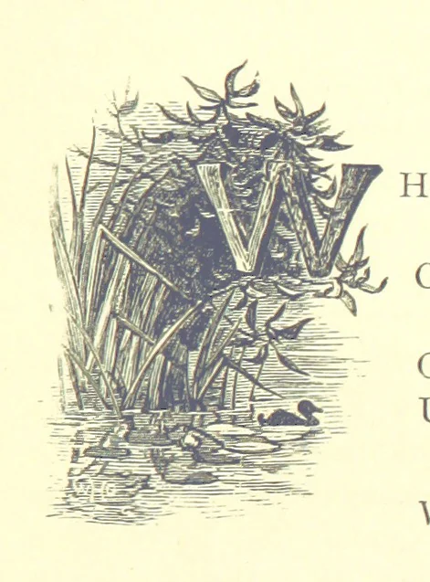 An illustration from The Months illustrated by pen and pencil. Edited by ... S. M. The designs by N. Humphreys, J. Gilbert, etc, 1876, leaf 151